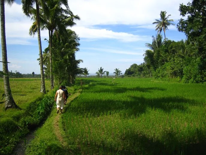 lombok senaru