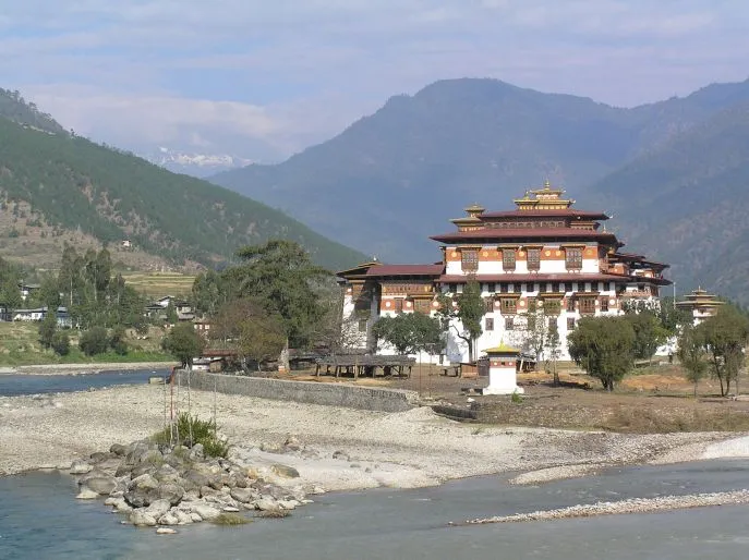punakha dzong dimsum