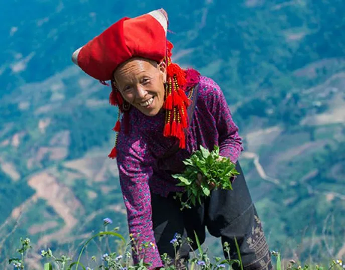 rode dao vietnam