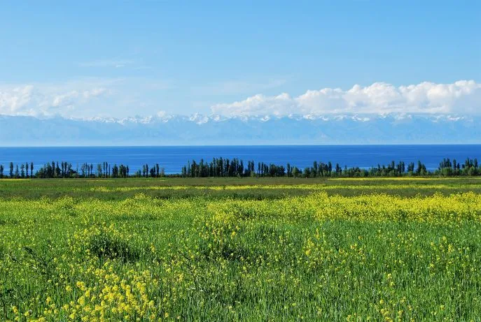 11 dimsum kirgizi self drive issyk kul lake