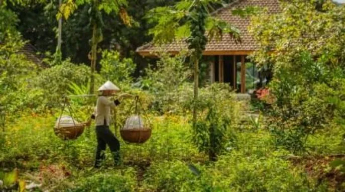 tam coc tuin vietnam 2