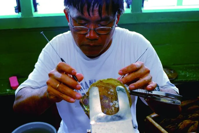 dimsum reizne indonesie aru eiland pulau kenari 4