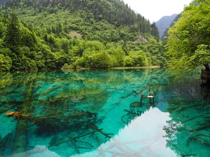 dimsum reizen china bouwsteen jiuzhaigou sprookjesland