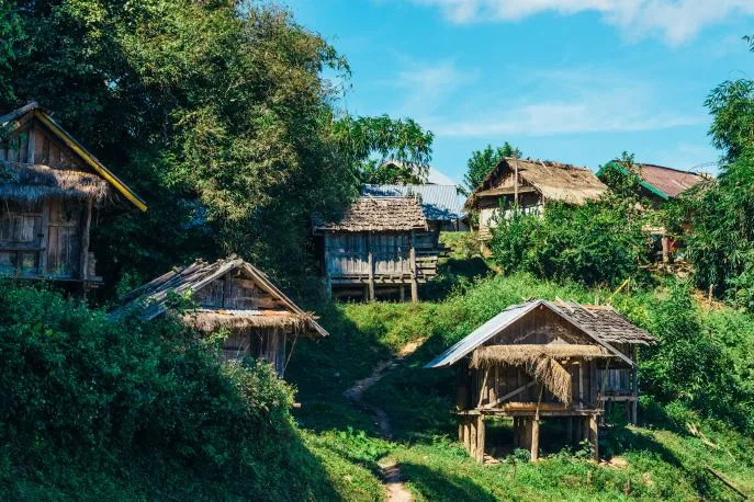 dimsum reizen laos oudomxay