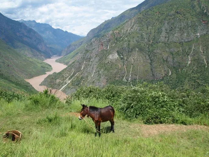 wumu vallei china yunnan