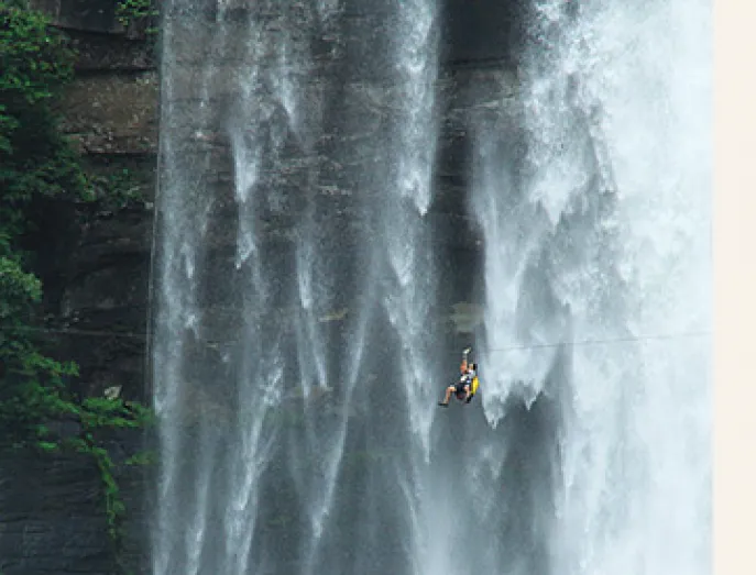 dimsum reizen laos treetop explorer zipline