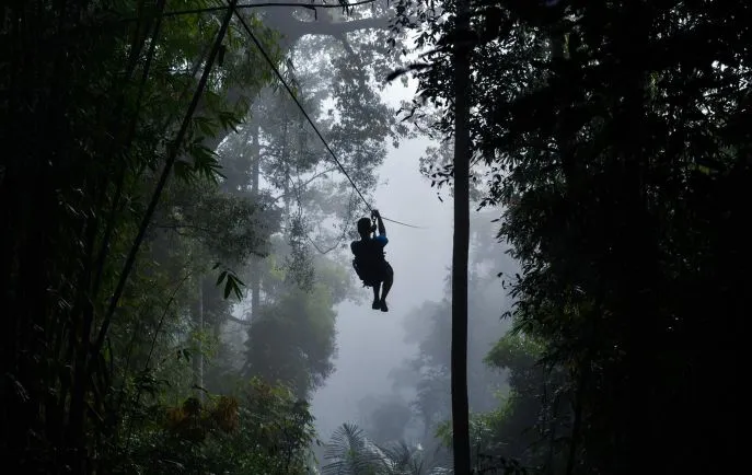 dimsum reizen laos the gibbon experience
