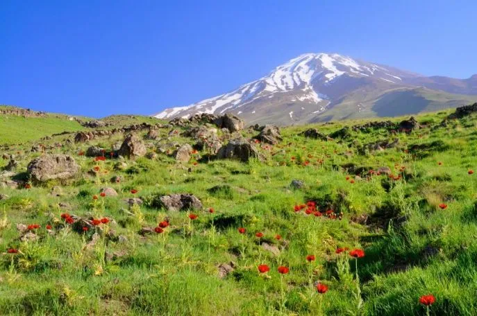dimsum reizen iran mt damavand