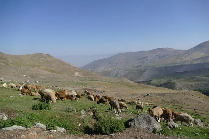 meshkin shahr iran
