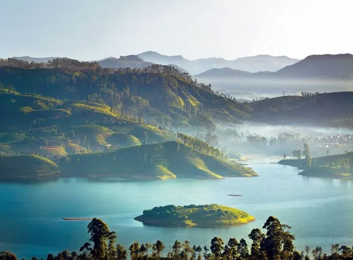 ceylon tea trails uizichtdimsum reizen