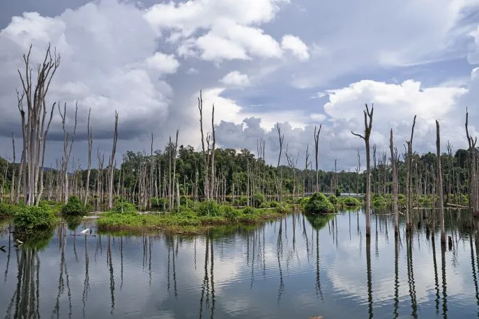 nam theun Laos-rondreis