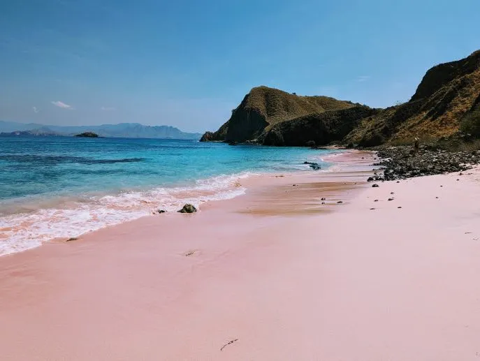 pink beach komodo nationaal park dimsum reizen