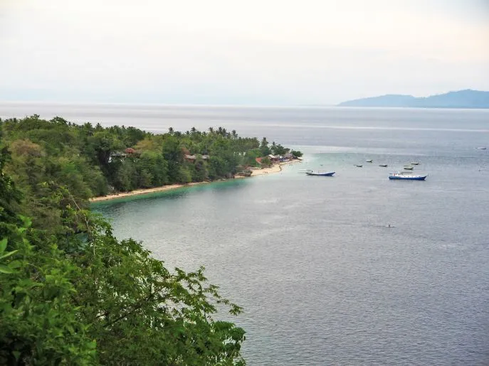 dimsum reizen tanjung karang sulawesi