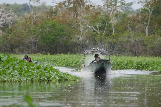 dimsum reizen indonesie kalimantan mahakam rivier