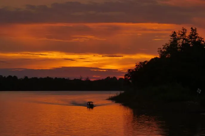 dimsum reizen zonsondergang mahakam rivier