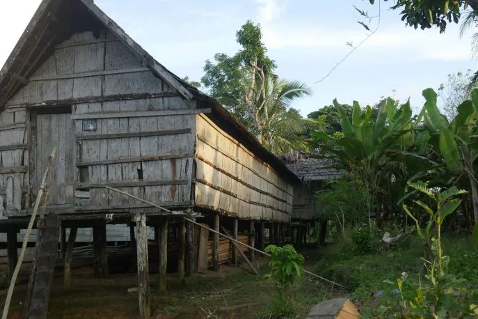 dimsum reizen indonesie kalimantan homestay