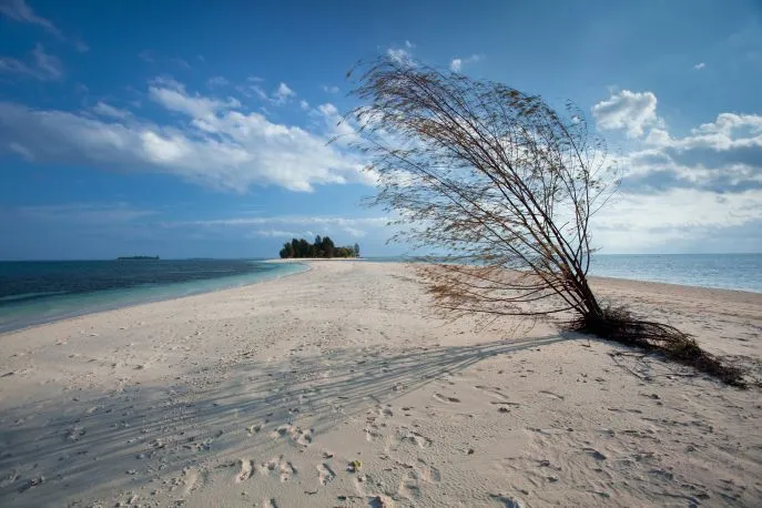 dimsum reizen halmahera dodola beach