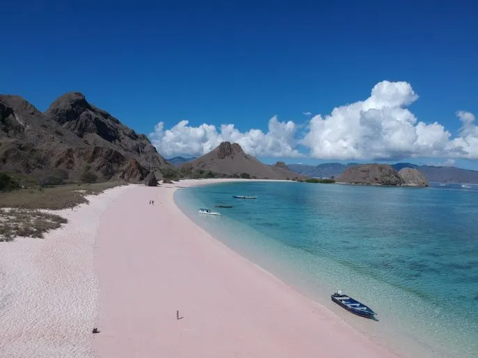 pink beach komodo nationaal park dimsum eizen