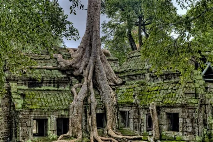 siem reap angkor wat dimsum reizen
