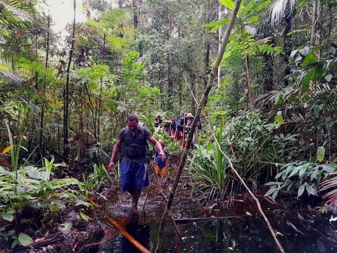 dimsum reizen naar west papua indonesie korowai trekking