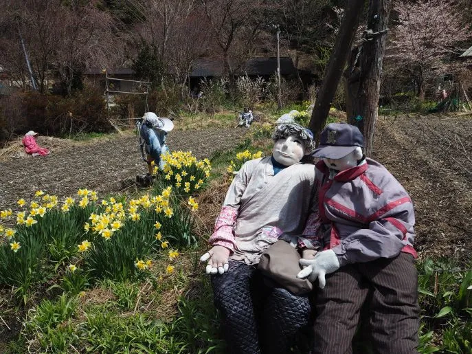 japan shikoku iya valley 26