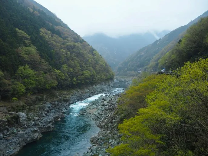 japan shikoku iya valley 12
