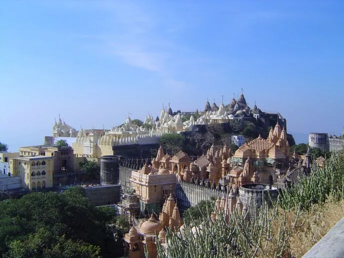 6 india dimsum gujarat palitana