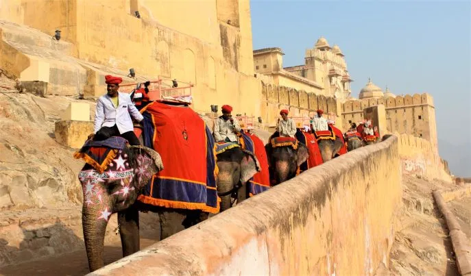 16 dimsum india rondreis amber fort jaipur 3