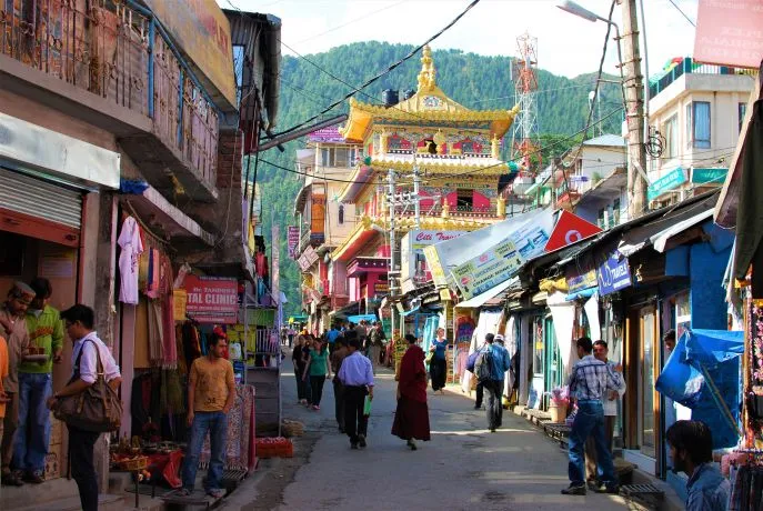 4 dimsum india rondreis dharamsala