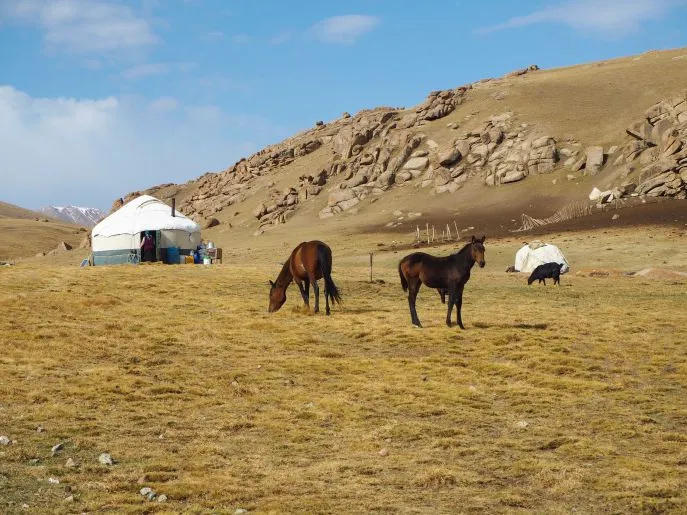 4 dimsum wandelreis kirgizstan son kul
