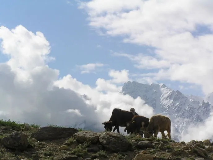 5 dimsum rondreis alternatief tajikistan langar