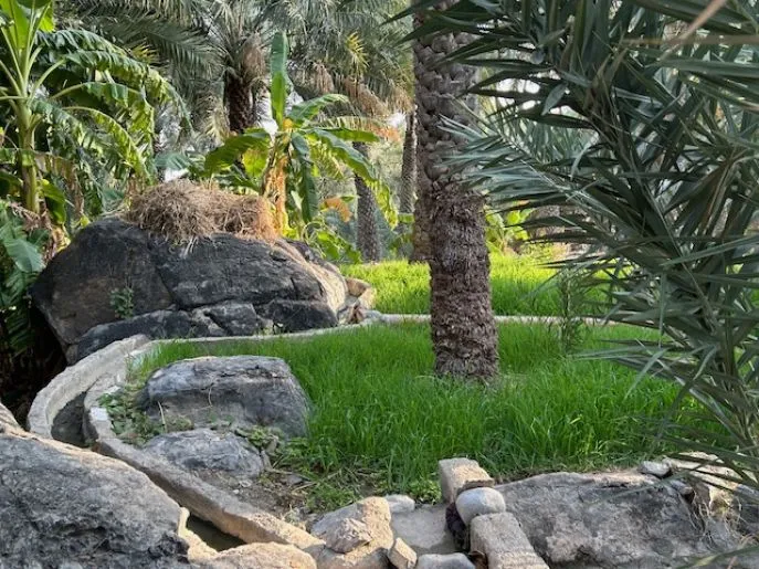 plantation walk misfah oman