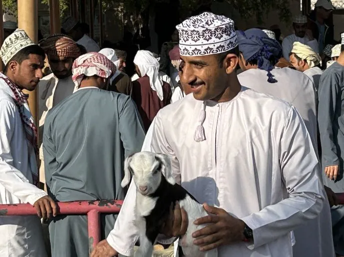 nizwa geitenmarkt dimsum reizen