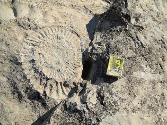 4 dimsum avontuurlijk turkmenistan kugitang fossils