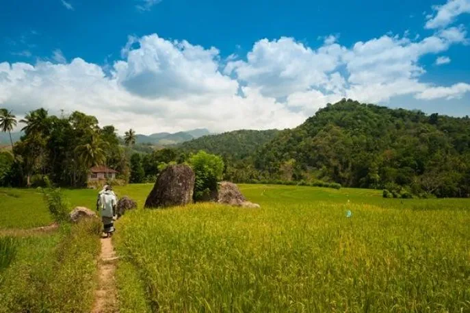 polwaththa ecologdes trek dimsum reizen
