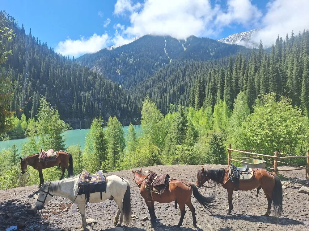 Saty-Kol-Sai-Kayindi-lakes-kazachstan-paarden