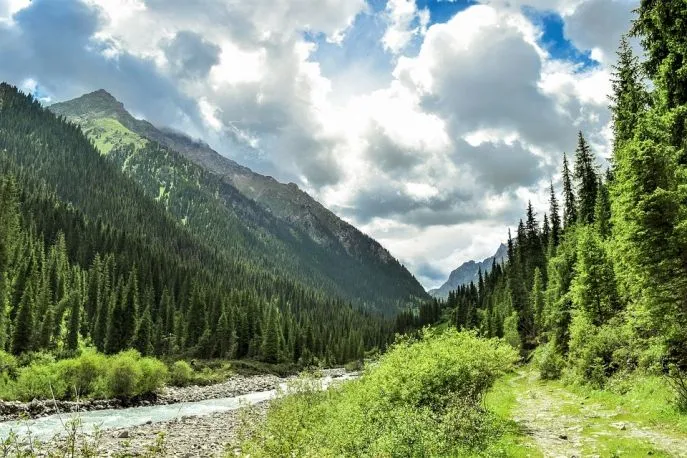 12 dimsum hoogtepunten kazachstan reis natuur