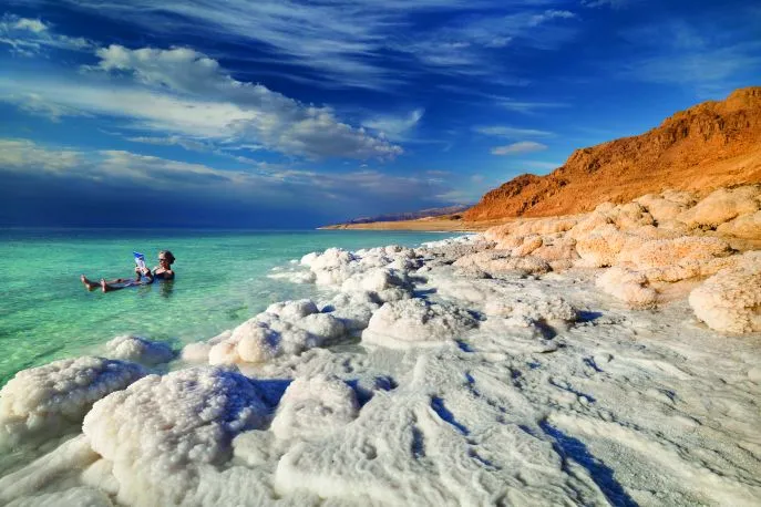 dead sea book