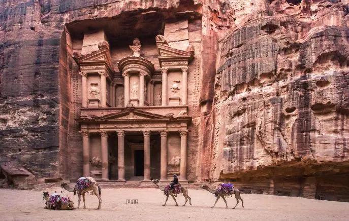 kamelen petra dimsum reizen jordanie