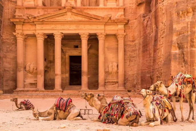 petra kamelen jordanie dimsum reizen 5
