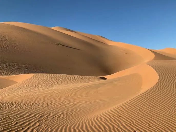 zandduinen rub al khali oman