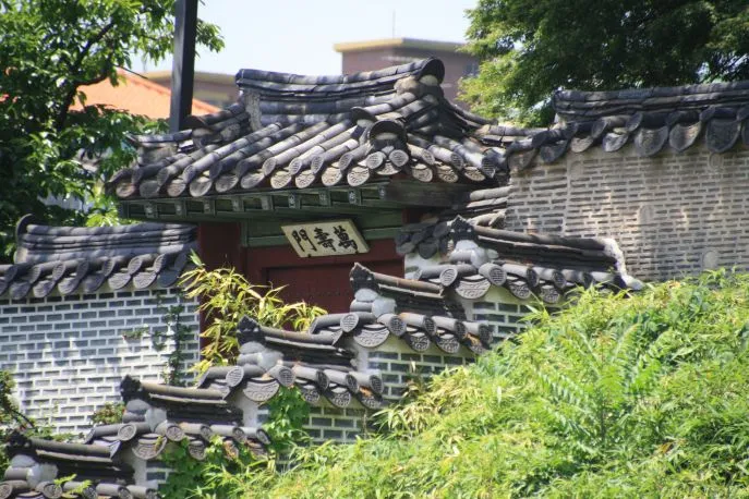 dimsum treinreis zuidkorea