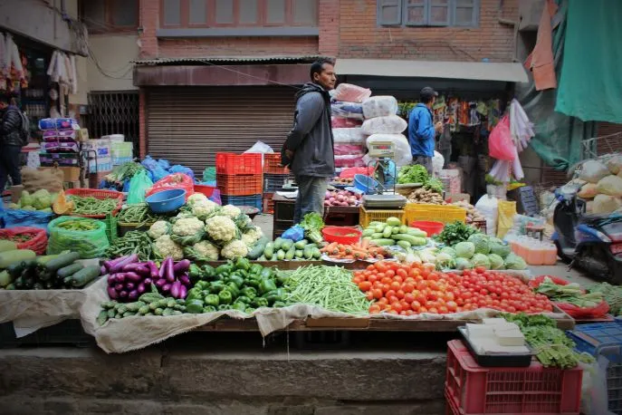dimsum reizen naar kathmandu