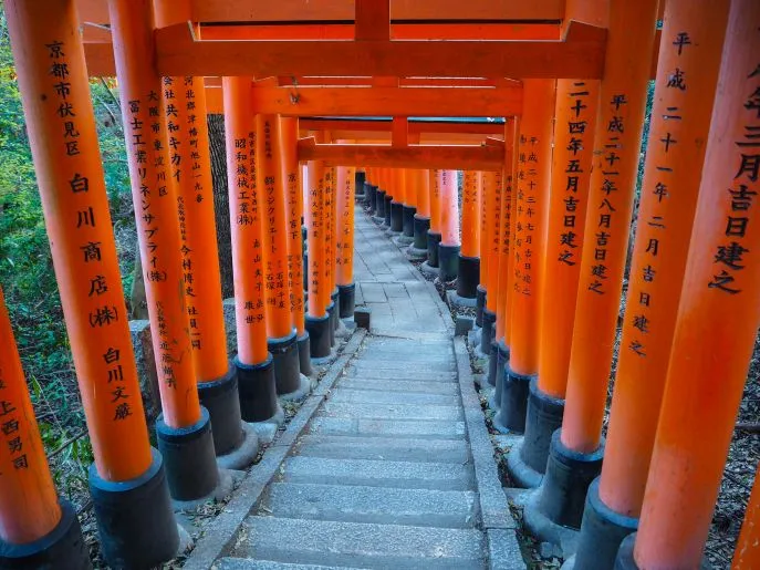 kyoto3