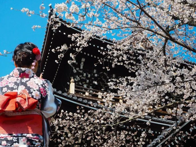 kyoto2 2