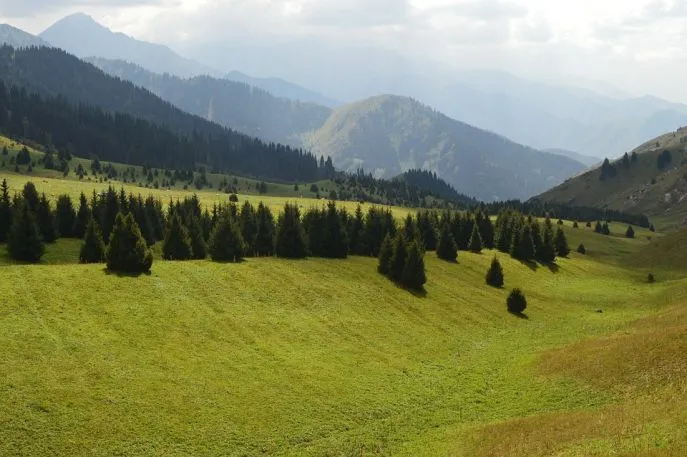 kazachstan  bergen dimsum reizen