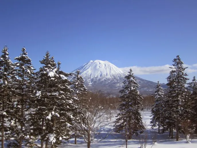 niseko