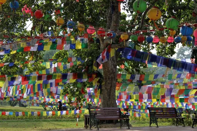 nepal lumbini 5 2