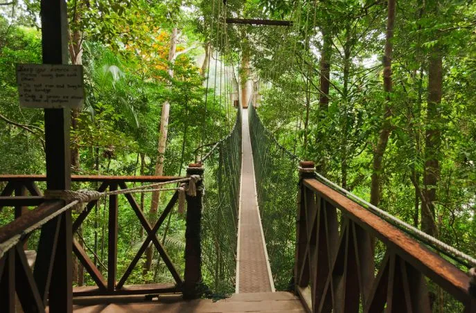 familie maleisie canopy walk taman negara