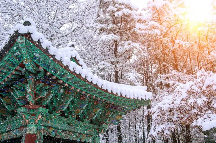 familie winterreis zuid korea dimsum reizen
